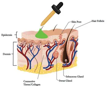 Chemical Peels in Jacksonville, FL